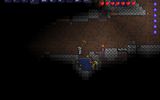 Terraria03